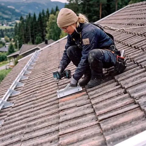 Ziege Wolle – Vorteile moderner Dachfenster